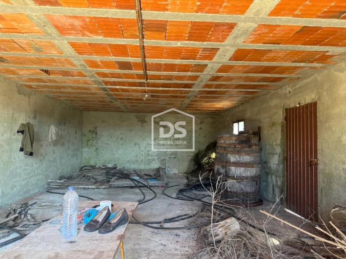 Quinta T0 para Venda em Vela Foto 6