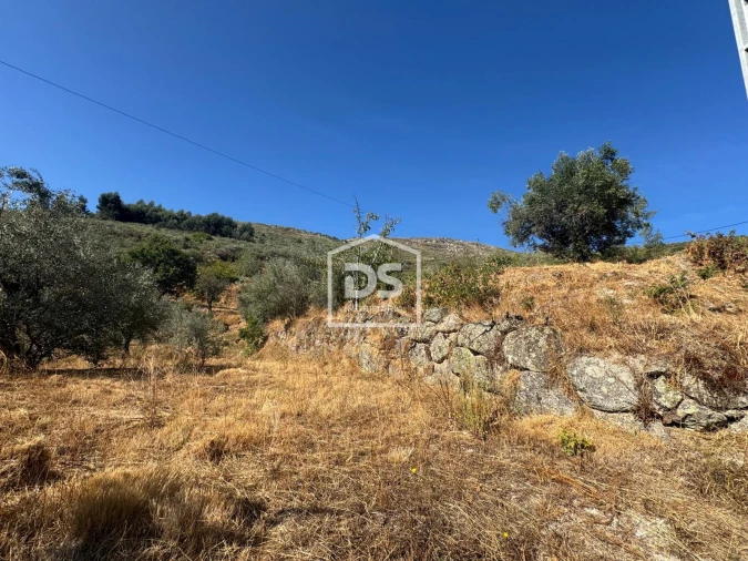 Quinta T0 para Venda em Vela Foto 9