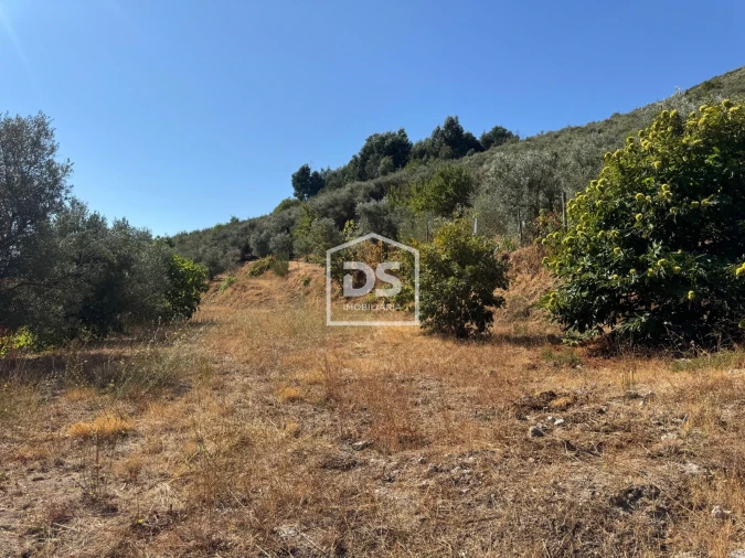 Quinta T0 para Venda em Vela Foto 8