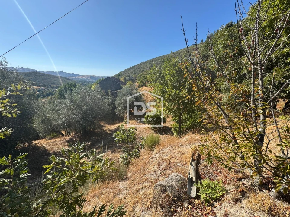 Quinta T0 para Venda em Vela Foto 15