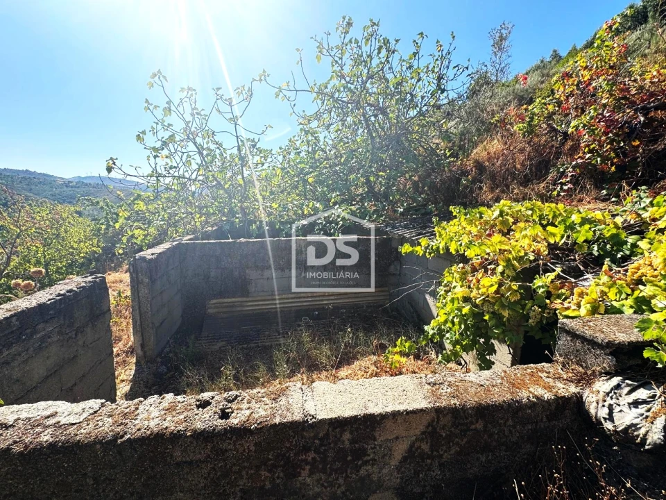 Quinta T0 para Venda em Vela Foto 19