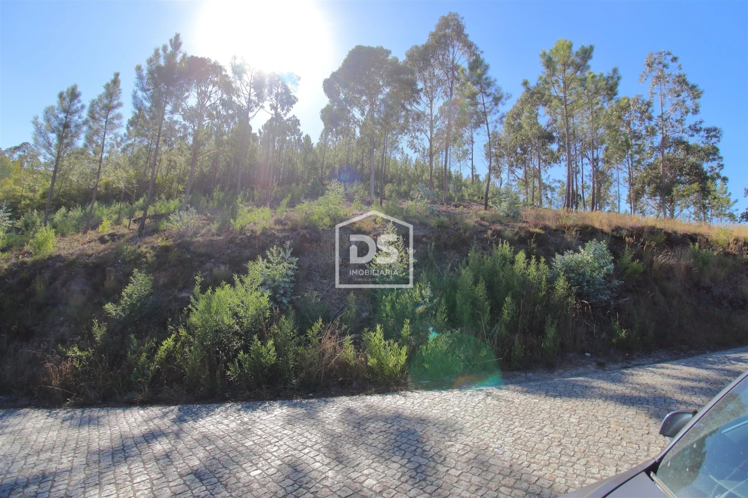Terreno para Venda em Sobreira Foto 2