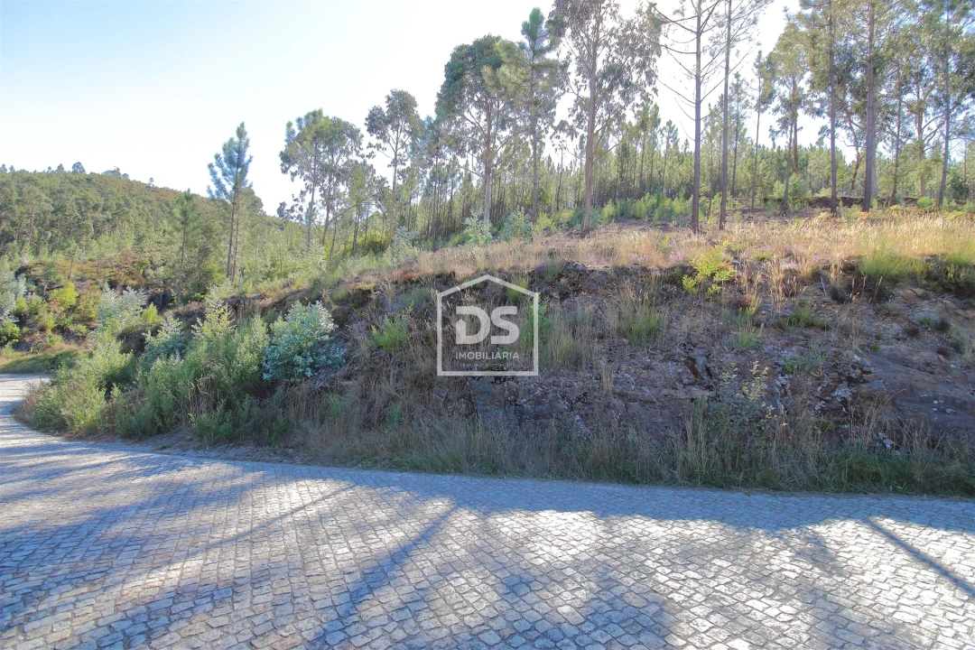 Terreno para Venda em Sobreira Foto 4