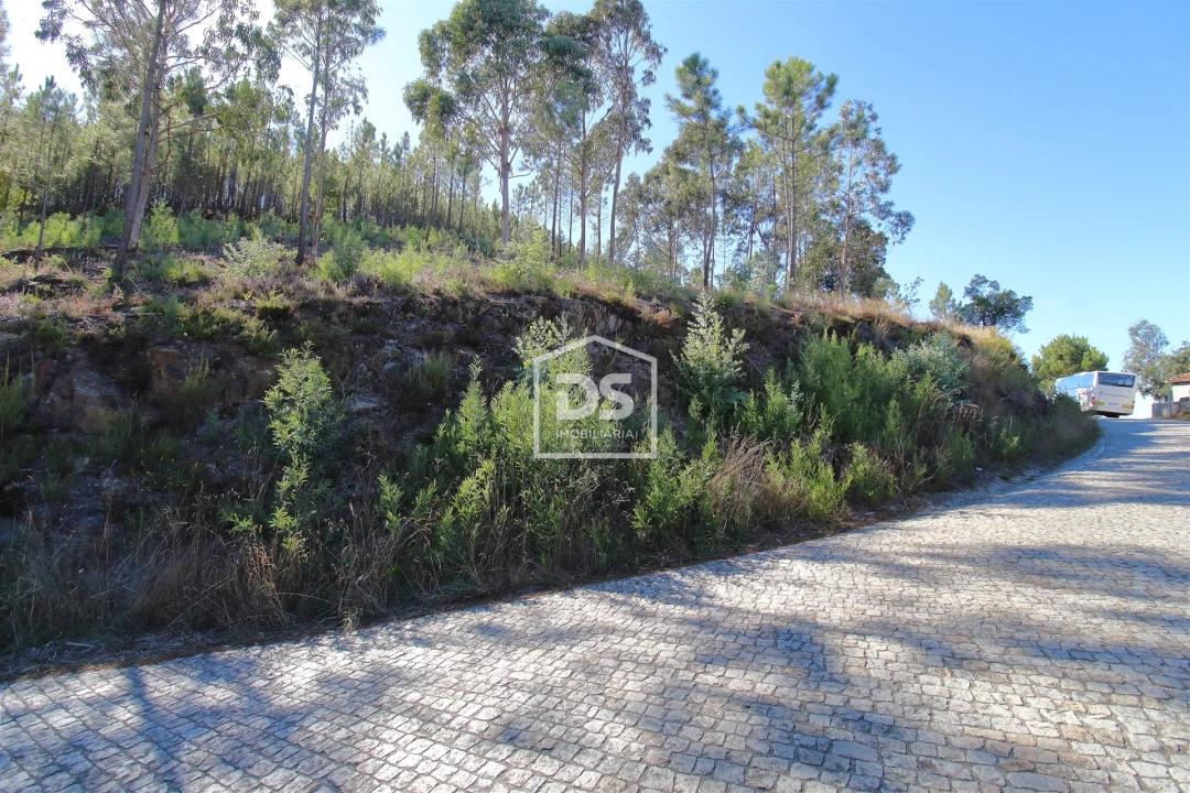 Terreno para Venda em Sobreira Foto 1