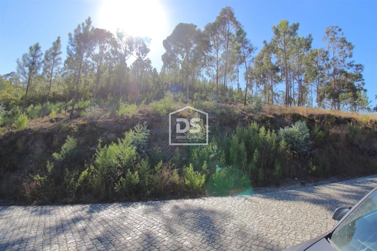 Terreno para Venda em Sobreira Foto 2