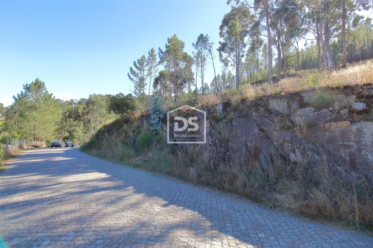 Terreno para Venda em Sobreira Foto 6