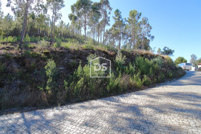Terreno para Venda em Sobreira