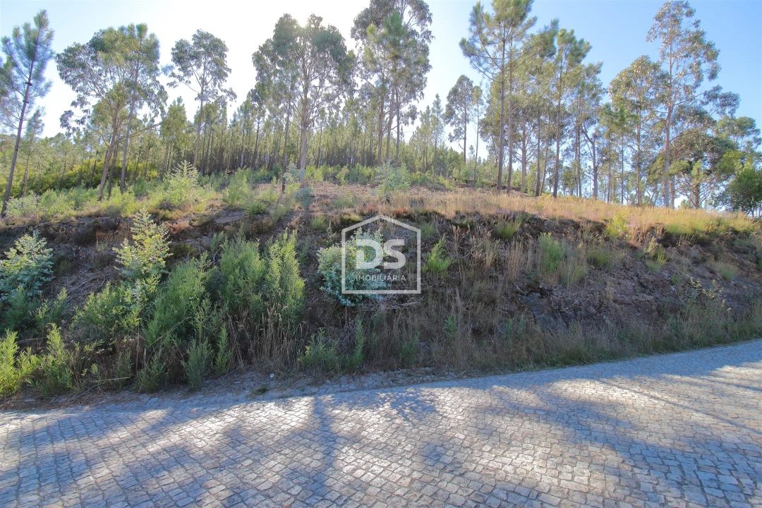 Terreno para Venda em Sobreira Foto 3