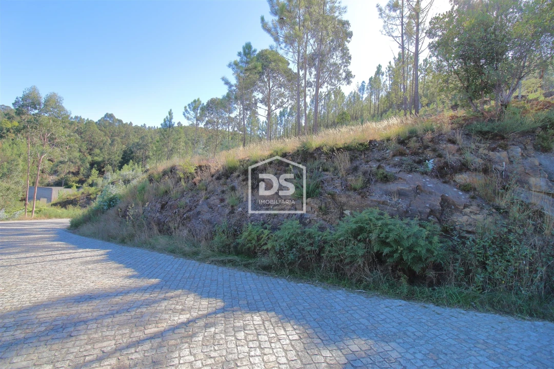 Terreno para Venda em Sobreira Foto 5