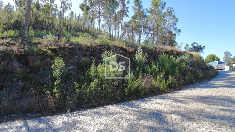 Terreno para Venda em Sobreira