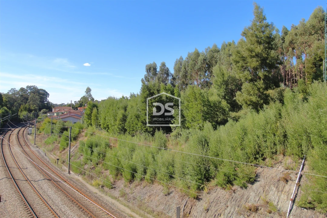 Terreno para Venda em Sobreira Foto 6