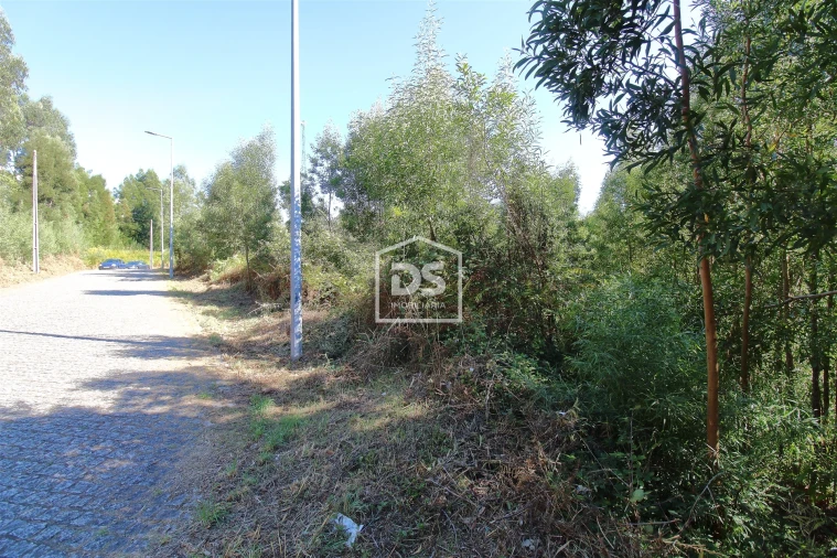 Terreno para Venda em Sobreira Foto 7