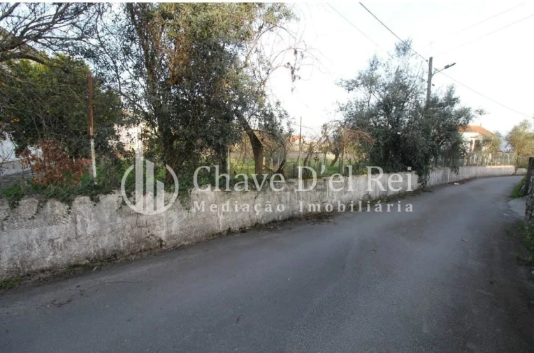 Terreno Agricola ou Rústico para Venda em Rio de Loba Foto 5