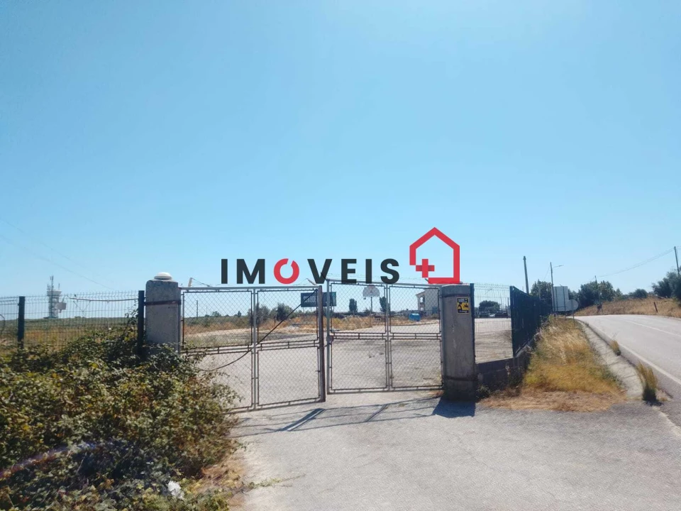 Terreno para Arrendamento em Achete, Azoia de Baixo e Póvoa de Santarém Foto 6