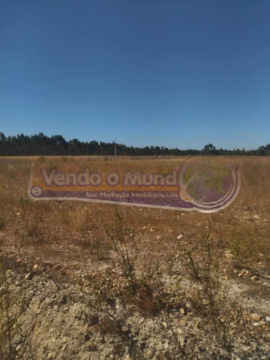 Terreno para Venda em Glória do Ribatejo e Granho Foto 8