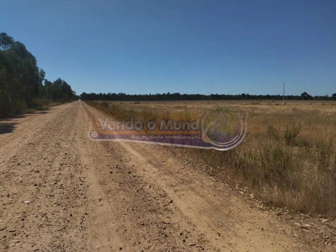 Terreno para Venda em Glória do Ribatejo e Granho Foto 5