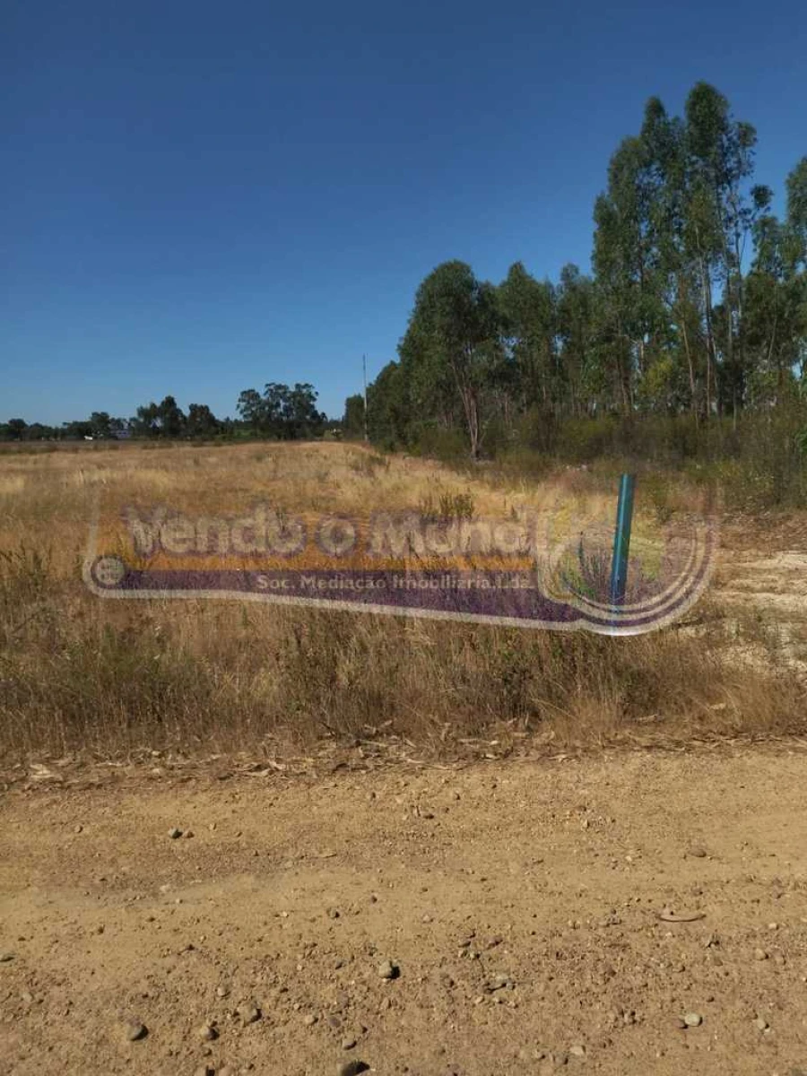 Terreno para Venda em Glória do Ribatejo e Granho Foto 6