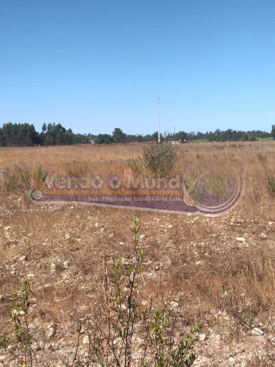 Terreno para Venda em Glória do Ribatejo e Granho