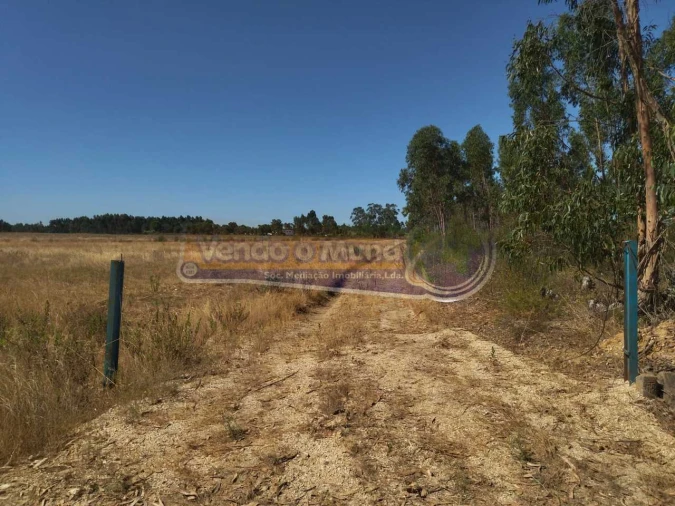 Terreno para Venda em Glória do Ribatejo e Granho Foto 3