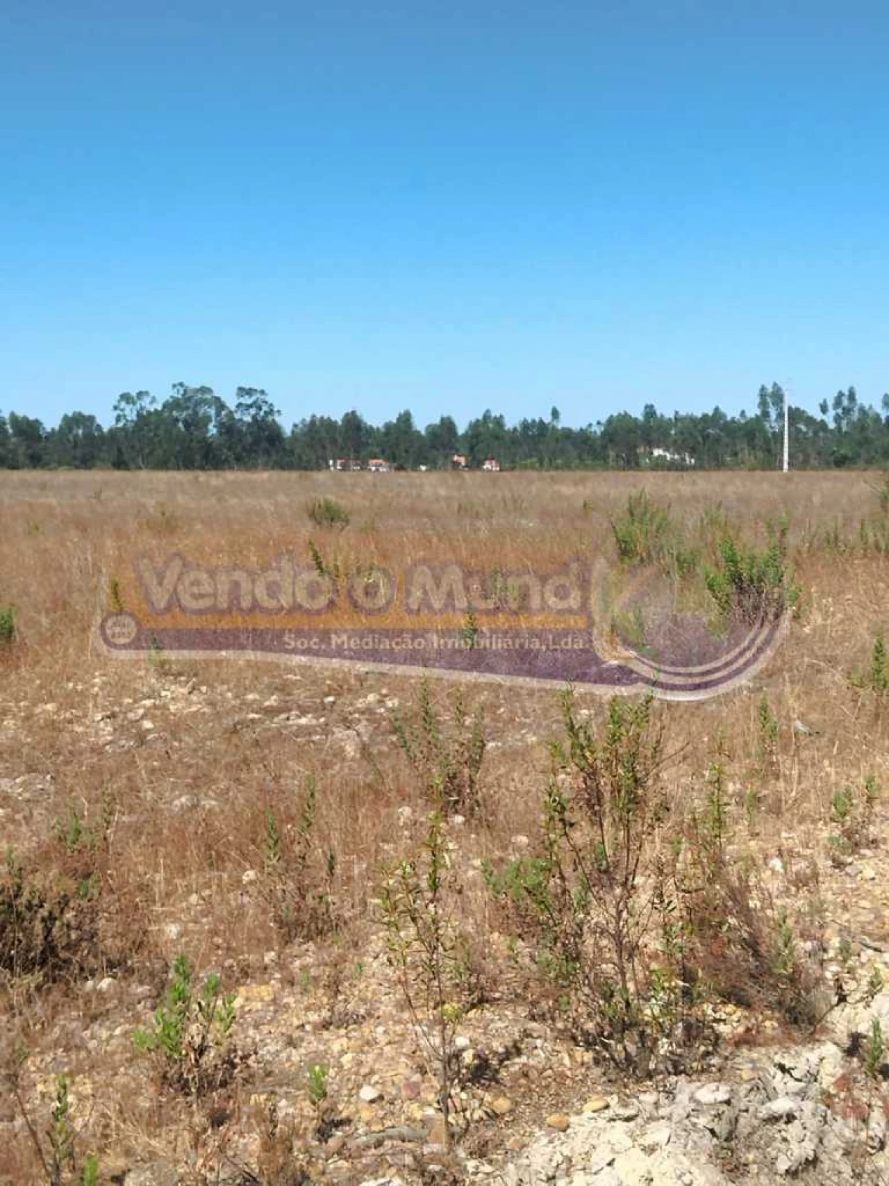 Terreno para Venda em Glória do Ribatejo e Granho Foto 7