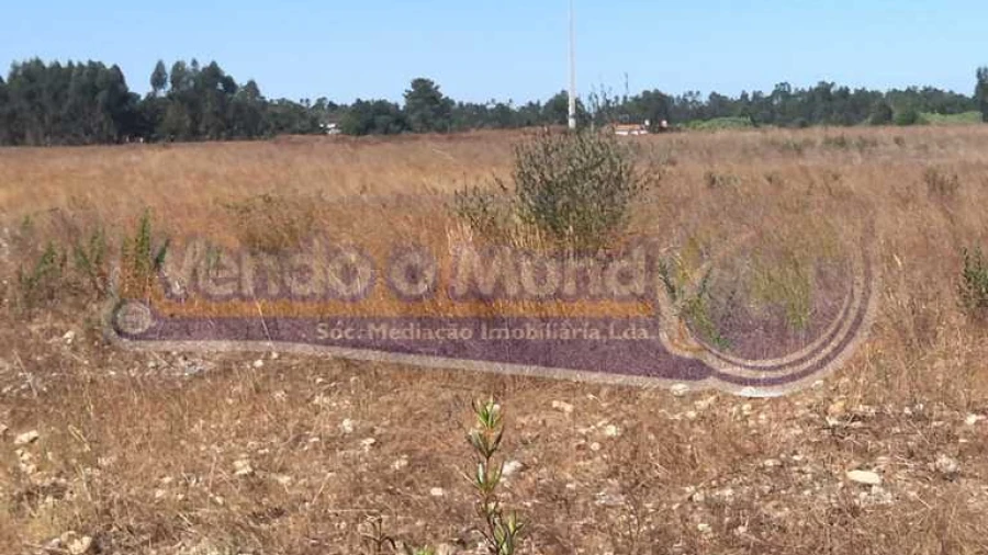 Terreno para Venda em Glória do Ribatejo e Granho
