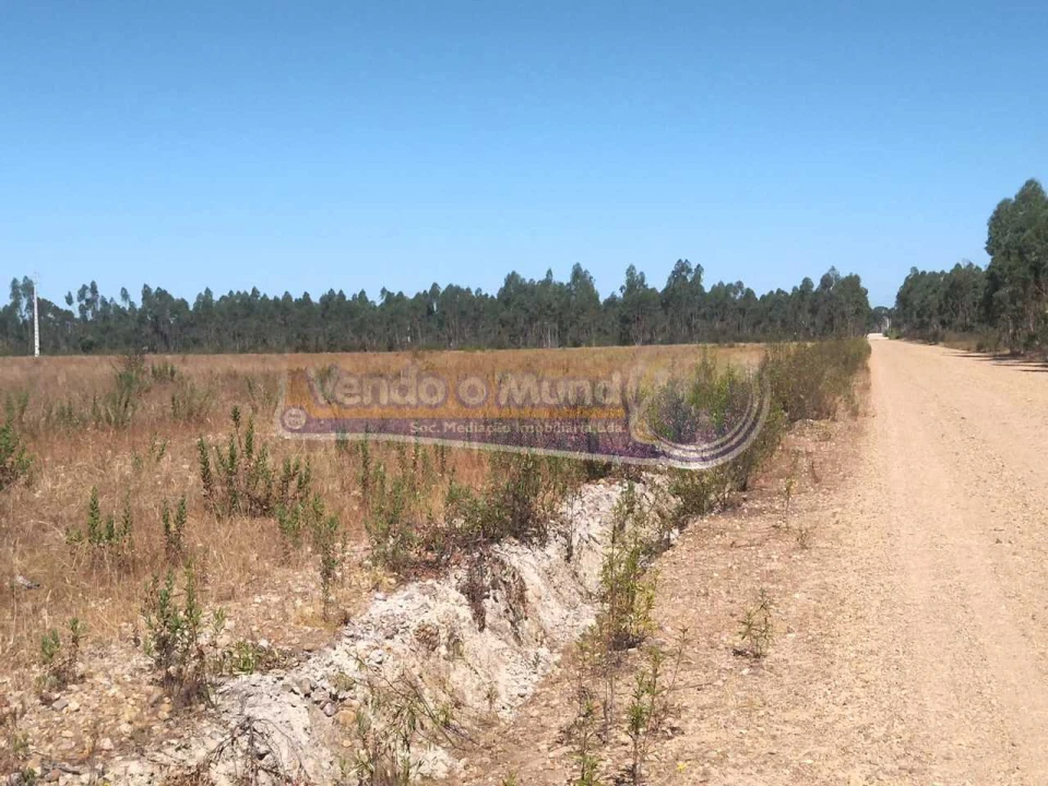 Terreno para Venda em Glória do Ribatejo e Granho Foto 4