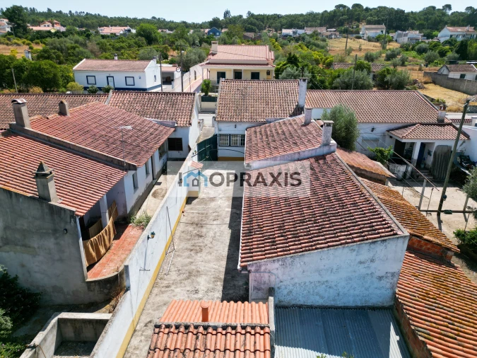 Quinta T4 para Venda em Chamusca e Pinheiro Grande Foto 4