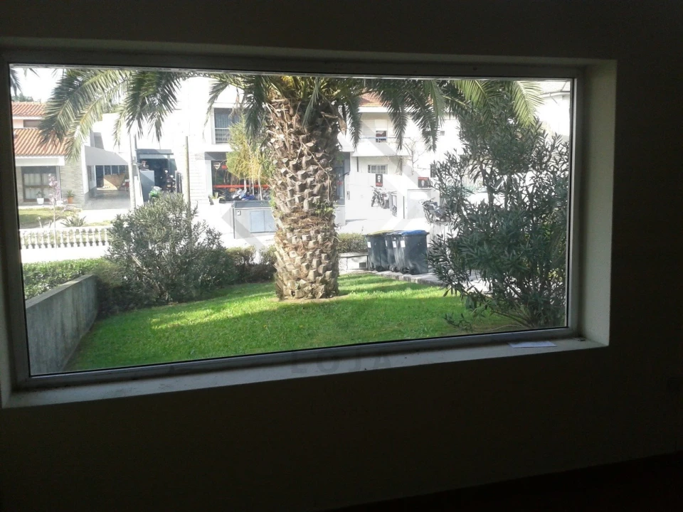 Loja para Venda em Nogueira e Silva Escura Foto 3