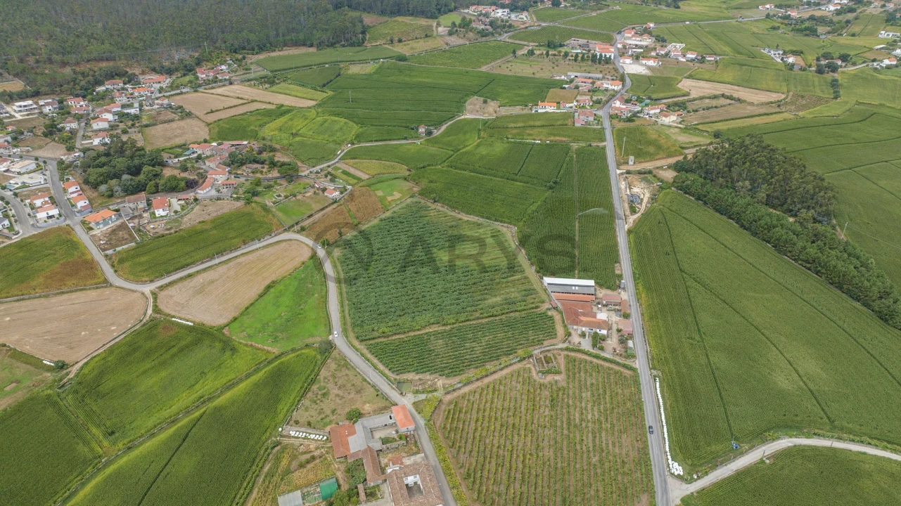 Terreno para Venda em Chorente, Góios, Courel, Pedra Furada e Gueral Foto 3