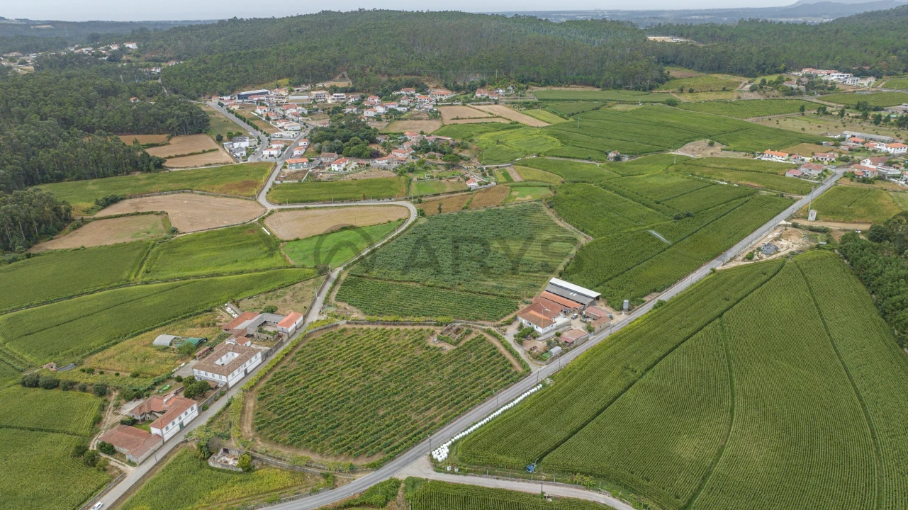 Terreno para Venda em Chorente, Góios, Courel, Pedra Furada e Gueral Foto 16