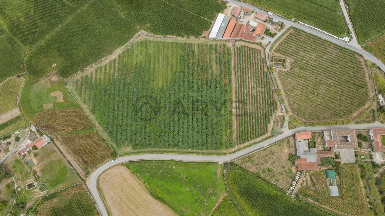 Terreno para Venda em Chorente, Góios, Courel, Pedra Furada e Gueral Foto 8