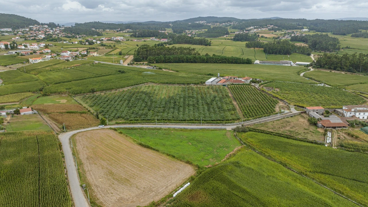 Terreno para Venda em Chorente, Góios, Courel, Pedra Furada e Gueral Foto 15