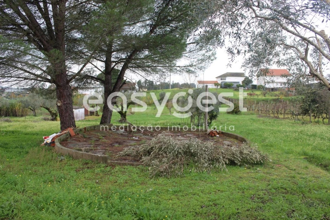 Moradia T3 para Venda em Casais e Alviobeira Foto 5