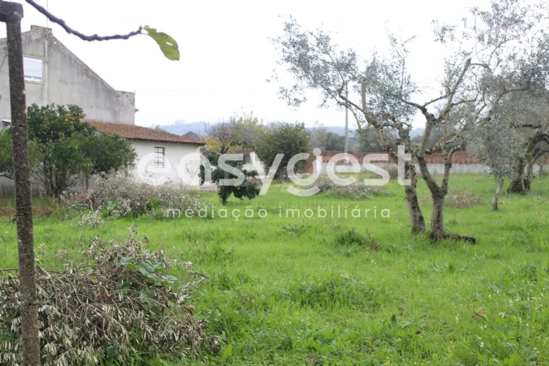 Moradia T3 para Venda em Casais e Alviobeira Foto 7