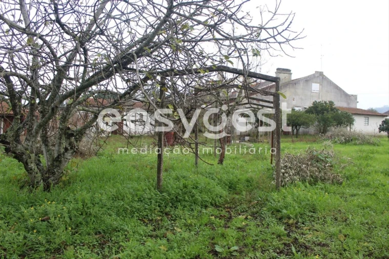 Moradia T3 para Venda em Casais e Alviobeira Foto 4