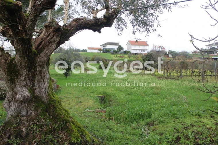 Moradia T3 para Venda em Casais e Alviobeira Foto 6