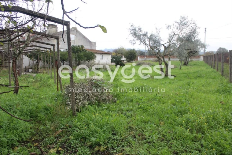 Moradia T3 para Venda em Casais e Alviobeira Foto 15