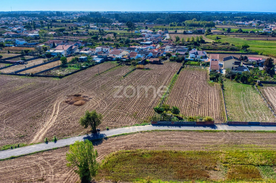 Terreno para Venda em Avanca Foto 16