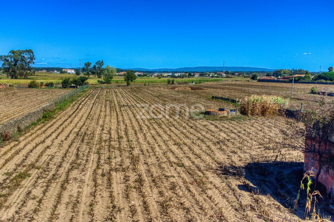 Terreno para Venda em Avanca Foto 24