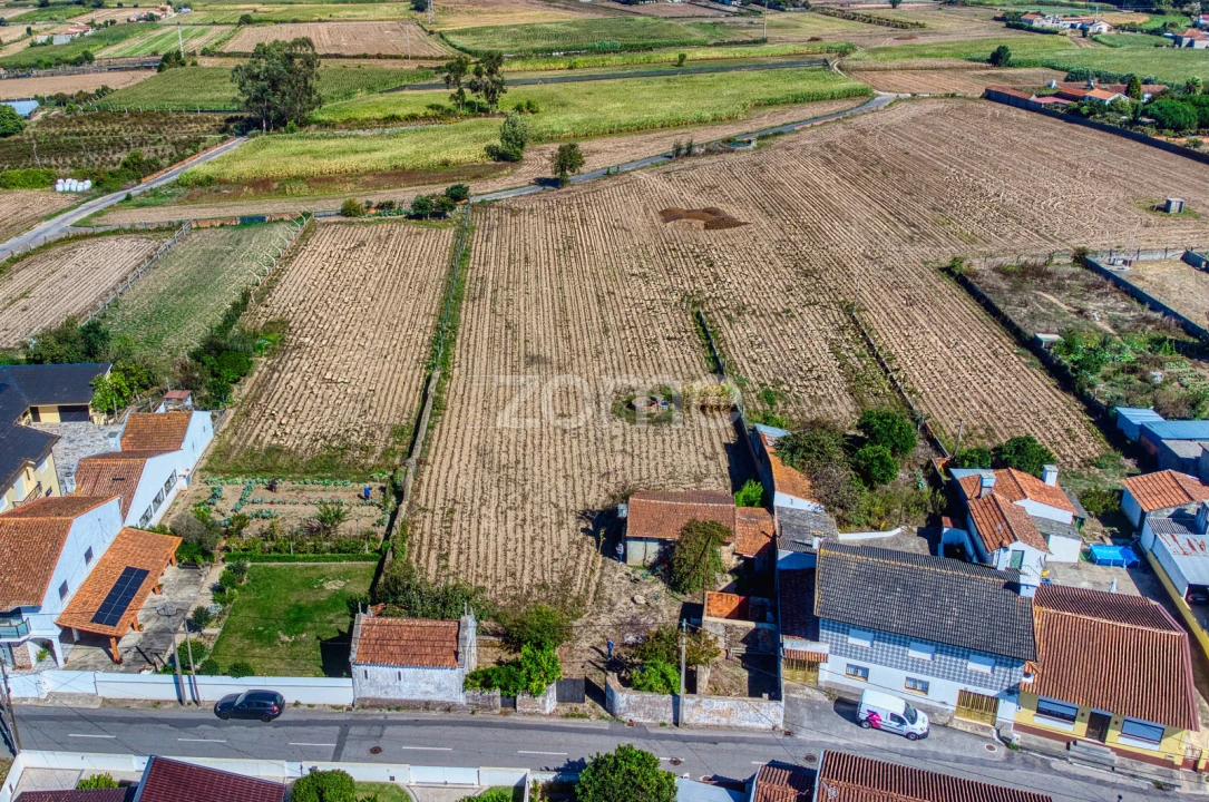 Terreno para Venda em Avanca Foto 3