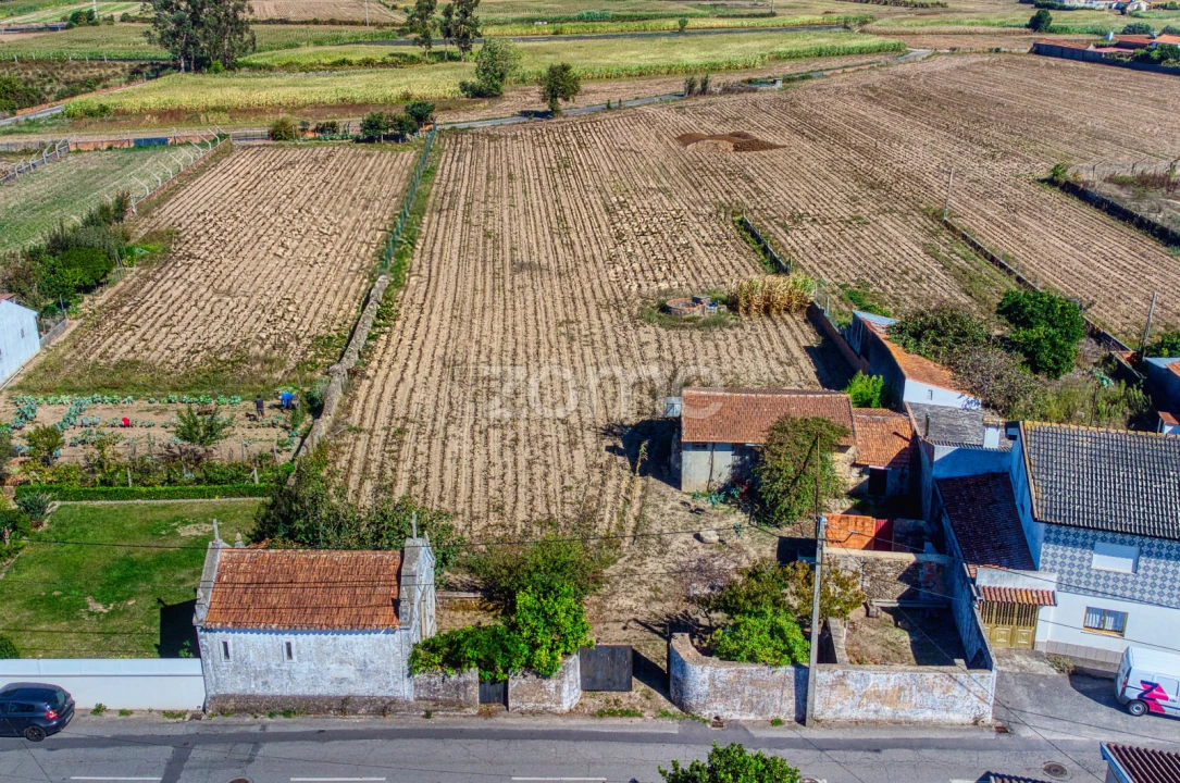 Terreno para Venda em Avanca Foto 5