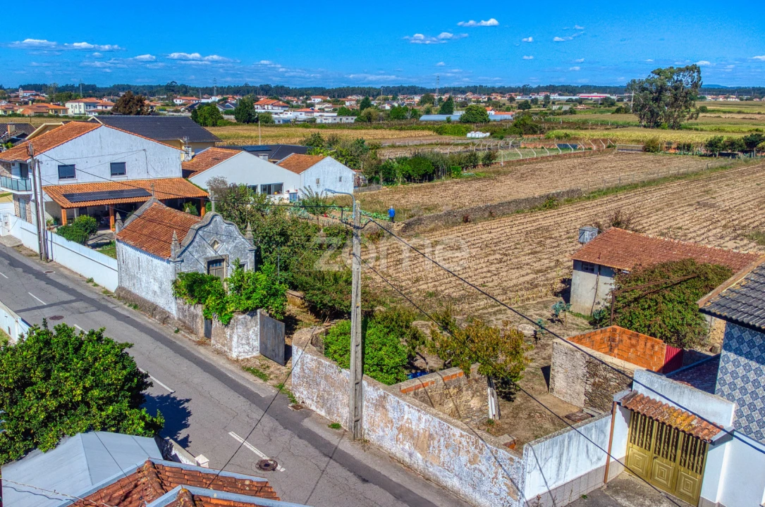 Terreno para Venda em Avanca Foto 8