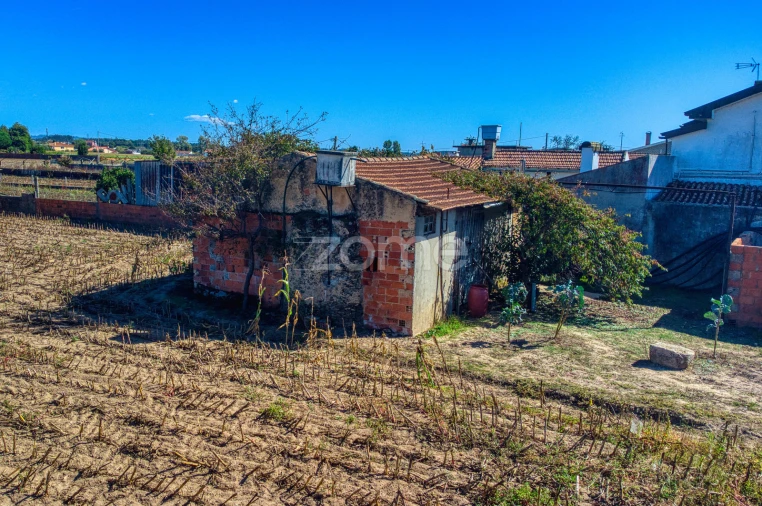 Terreno para Venda em Avanca Foto 22