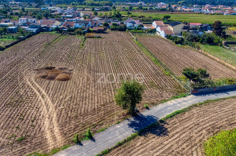 Terreno para Venda em Avanca Foto 14
