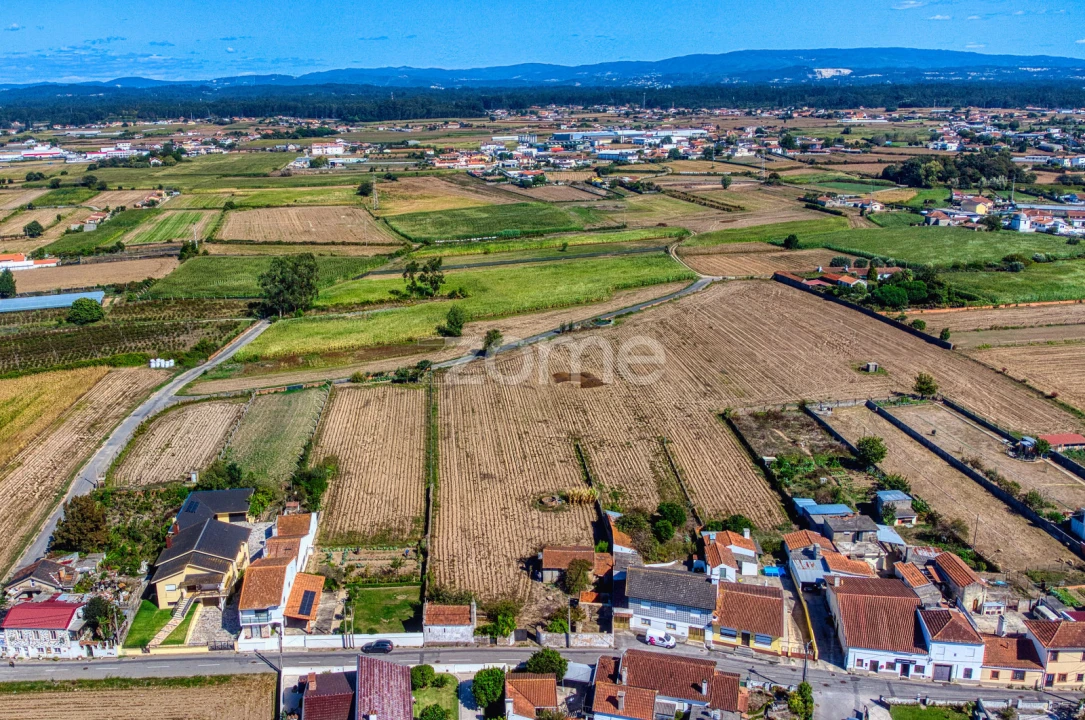 Terreno para Venda em Avanca Foto 8