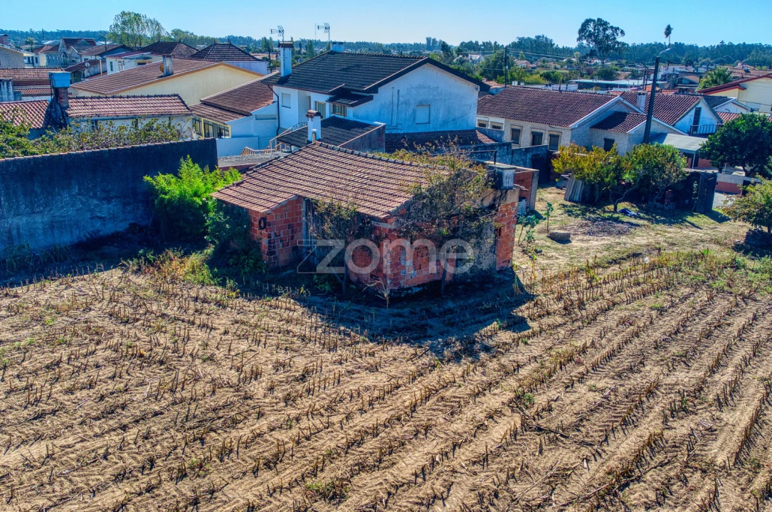 Terreno para Venda em Avanca Foto 19