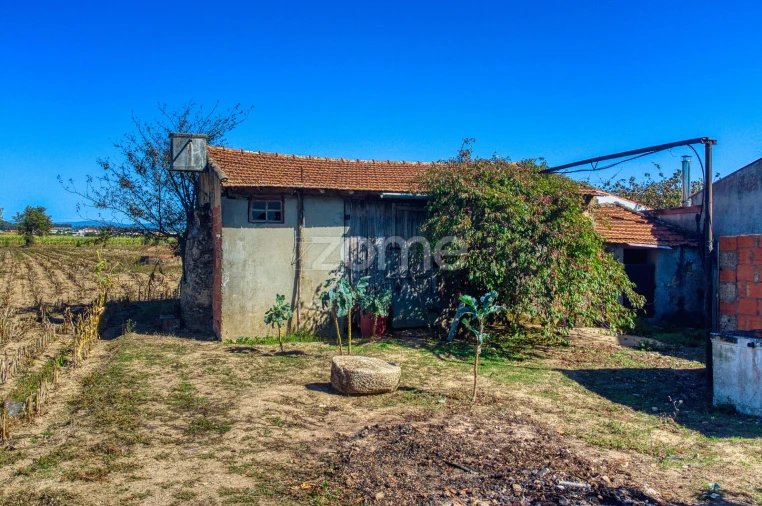 Terreno para Venda em Avanca Foto 22