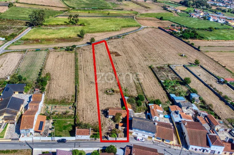 Terreno para Venda em Avanca Foto 3