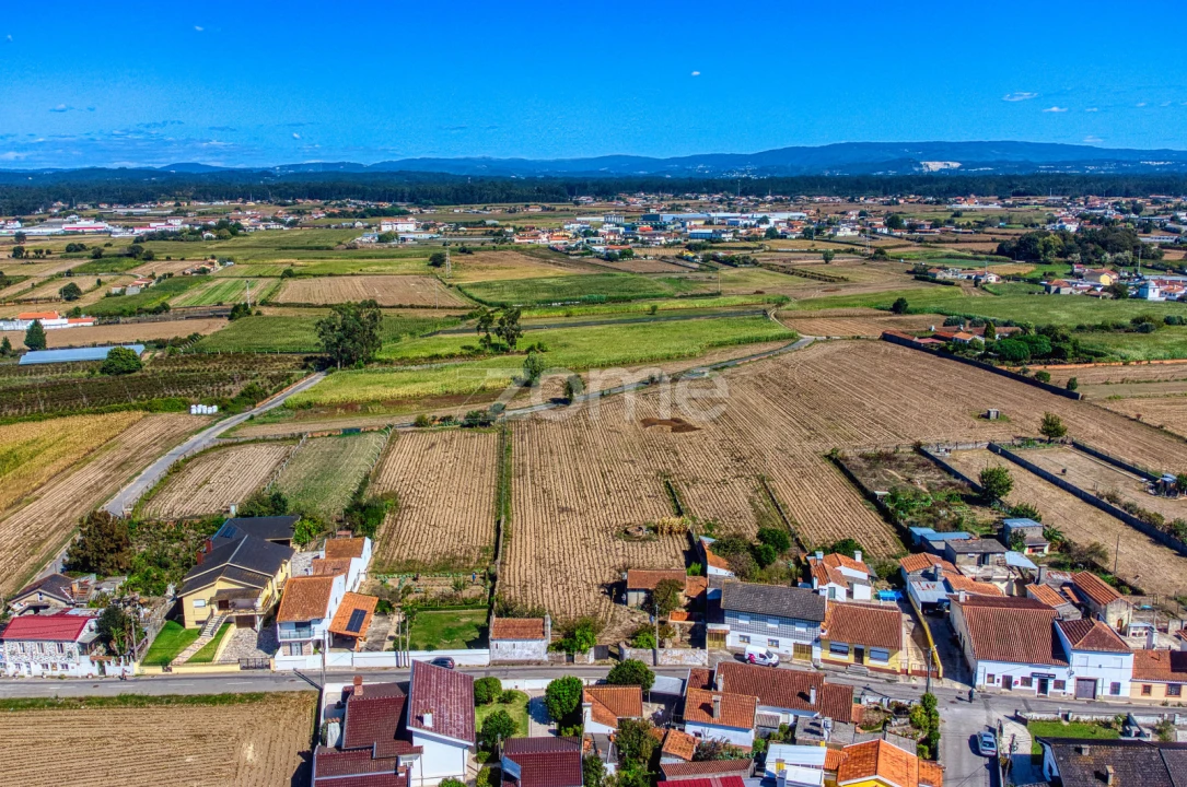 Terreno para Venda em Avanca Foto 7