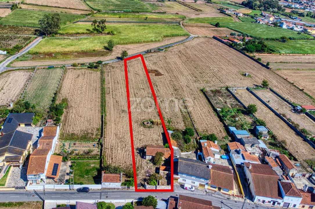 Terreno para Venda em Avanca Foto 3